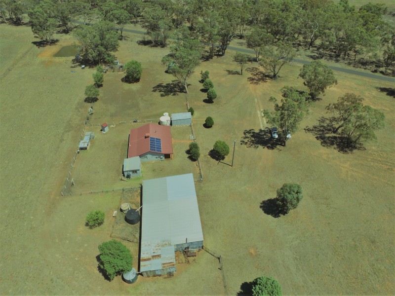492 Sir Ivan Dougherty Drive, Dunedoo NSW 2844