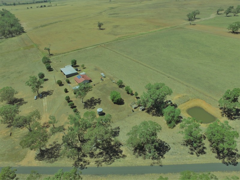 492 Sir Ivan Dougherty Drive, Dunedoo NSW 2844