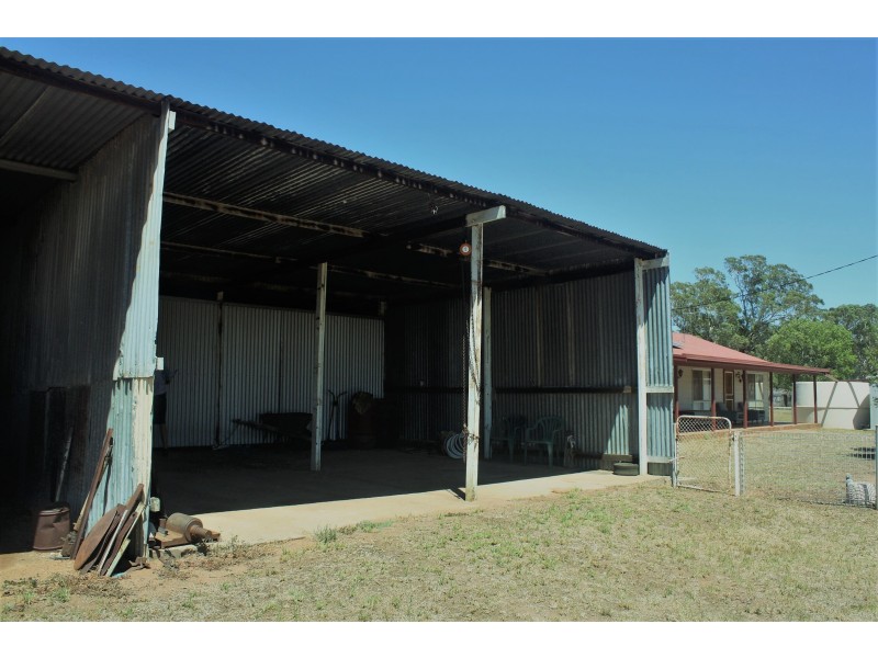 492 Sir Ivan Dougherty Drive, Dunedoo NSW 2844