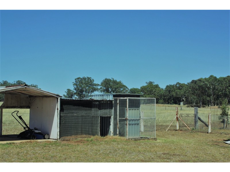 492 Sir Ivan Dougherty Drive, Dunedoo NSW 2844