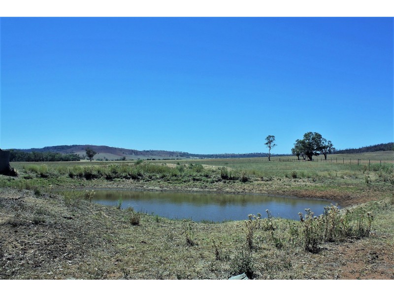 492 Sir Ivan Dougherty Drive, Dunedoo NSW 2844