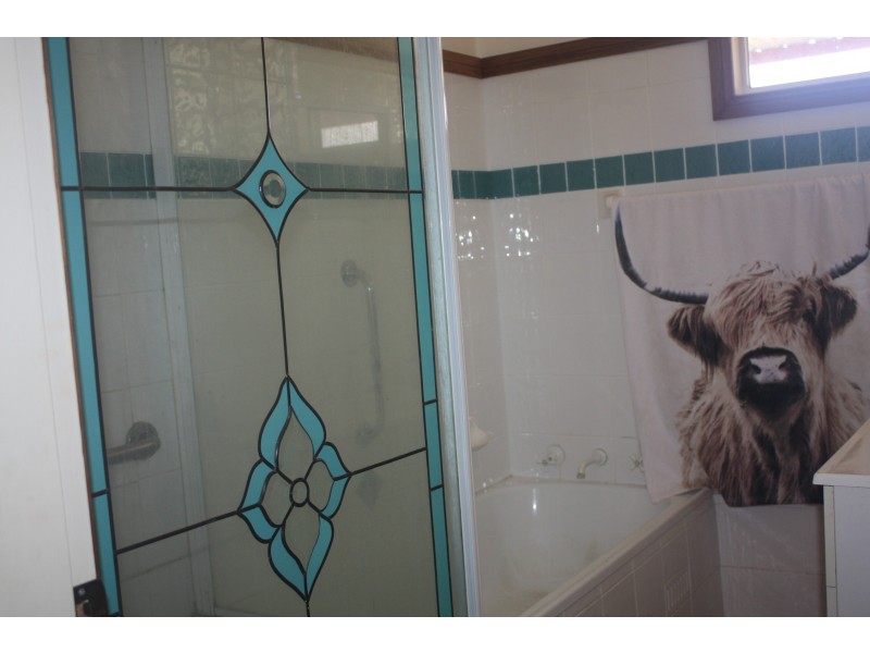 55 Booyamurra Street, Coolah NSW 2843