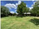 Vinegaroy Road, Coolah NSW 2843