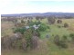 Vinegaroy Road, Coolah NSW 2843