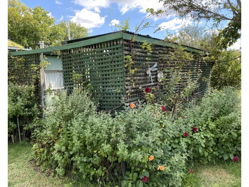 23 Martin Street, Coolah NSW 2843