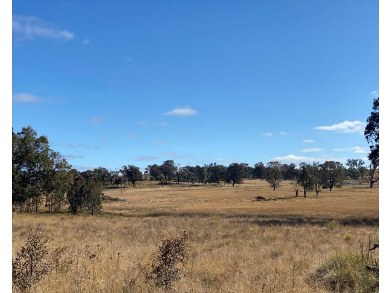 118 Neeleys Lane, Cassilis NSW 2329