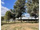 118 Neeleys Lane, Cassilis NSW 2329