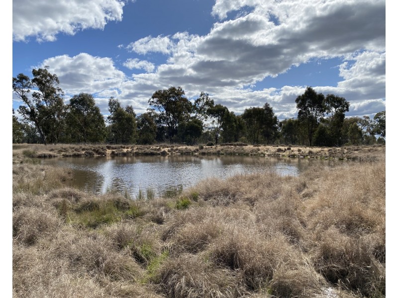 63 McGuiness Road, Weetaliba NSW 2395