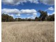 63 McGuiness Road, Weetaliba NSW 2395