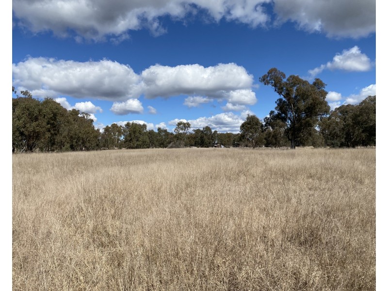 63 McGuiness Road, Weetaliba NSW 2395