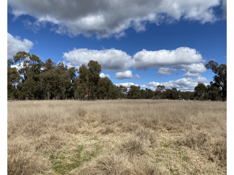 63 McGuiness Road, Weetaliba NSW 2395