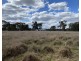 63 McGuiness Road, Weetaliba NSW 2395