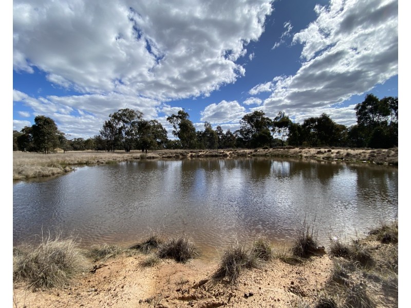 63 McGuiness Road, Weetaliba NSW 2395