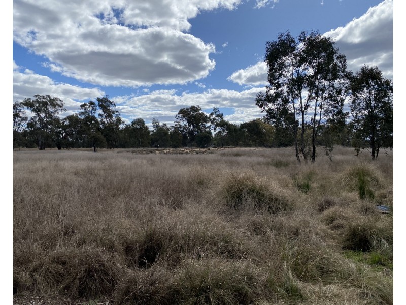 63 McGuiness Road, Weetaliba NSW 2395