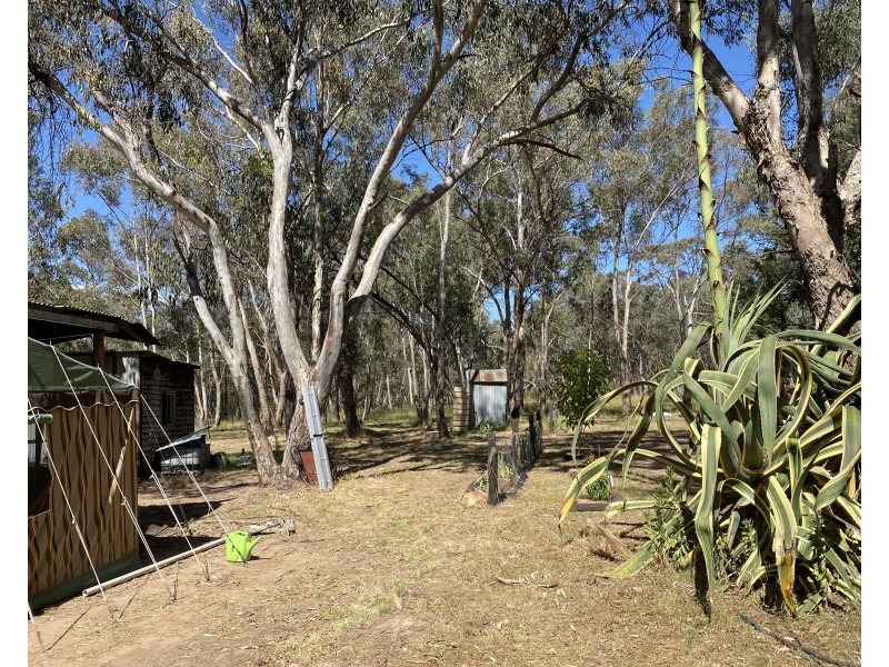 695 Coybil Road, Weetaliba NSW 2395
