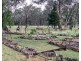 695 Coybil Road, Weetaliba NSW 2395
