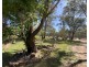 695 Coybil Road, Weetaliba NSW 2395