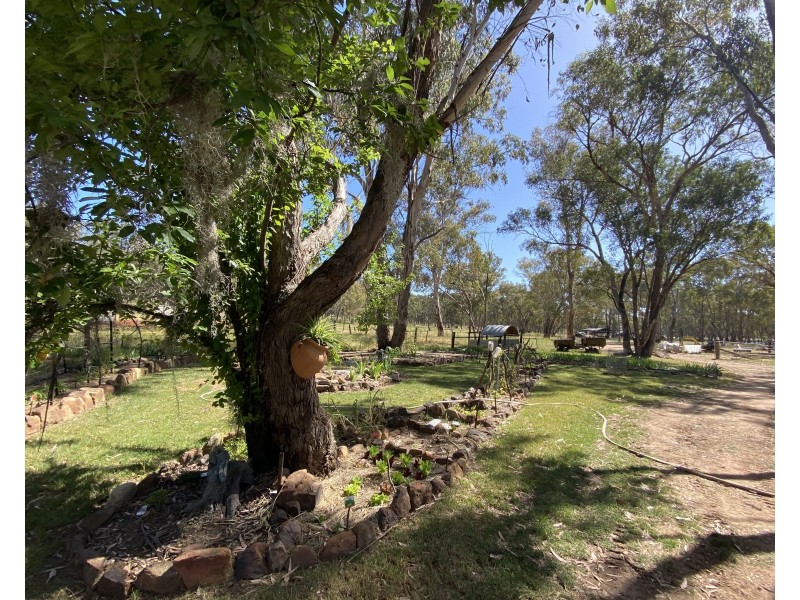 695 Coybil Road, Weetaliba NSW 2395