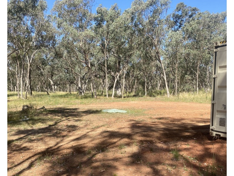 695 Coybil Road, Weetaliba NSW 2395
