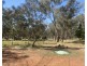 695 Coybil Road, Weetaliba NSW 2395