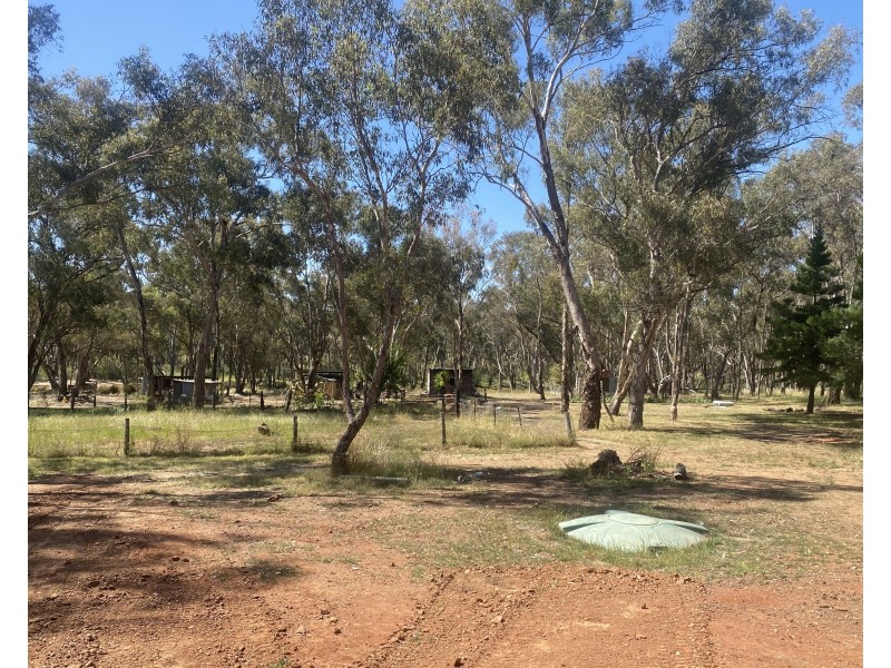 695 Coybil Road, Weetaliba NSW 2395