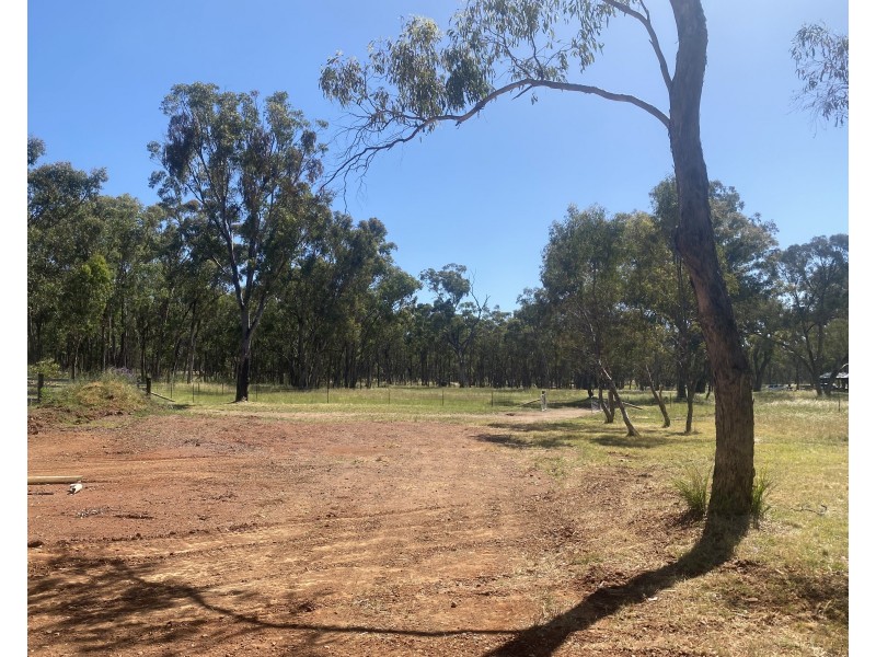 695 Coybil Road, Weetaliba NSW 2395