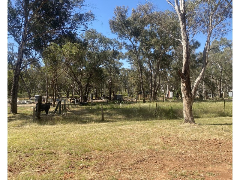 695 Coybil Road, Weetaliba NSW 2395