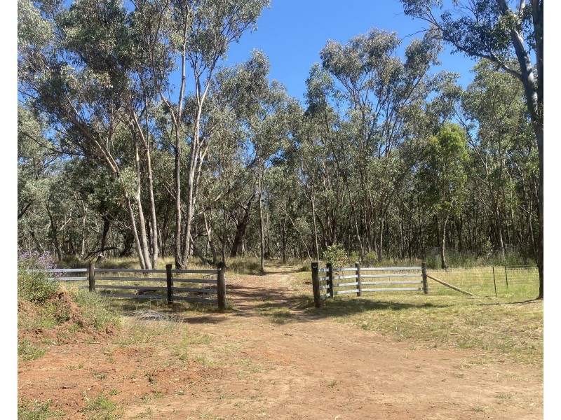 695 Coybil Road, Weetaliba NSW 2395
