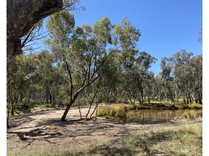 695 Coybil Road, Weetaliba NSW 2395