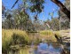 695 Coybil Road, Weetaliba NSW 2395