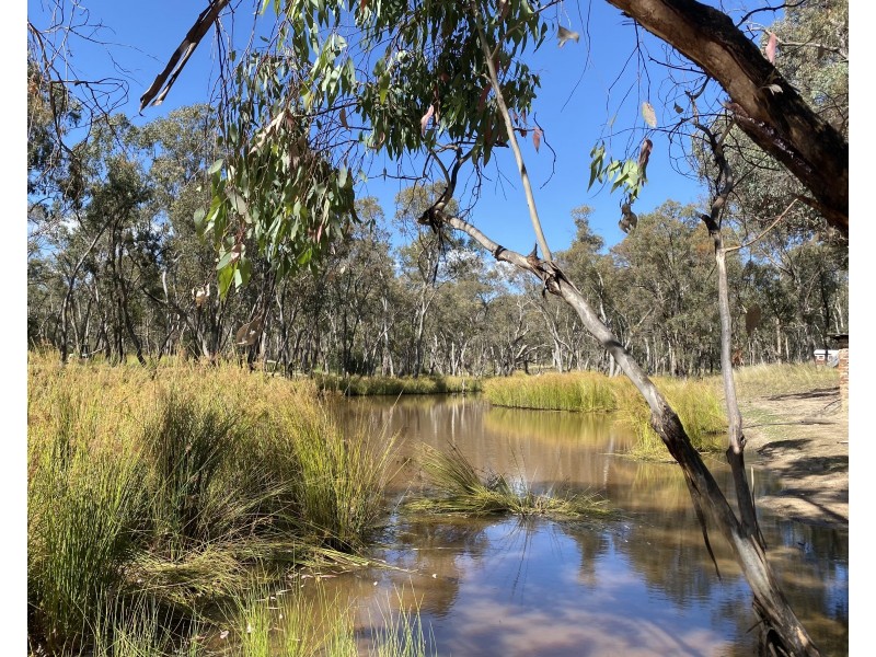 695 Coybil Road, Weetaliba NSW 2395