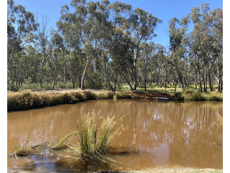 695 Coybil Road, Weetaliba NSW 2395