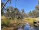 695 Coybil Road, Weetaliba NSW 2395