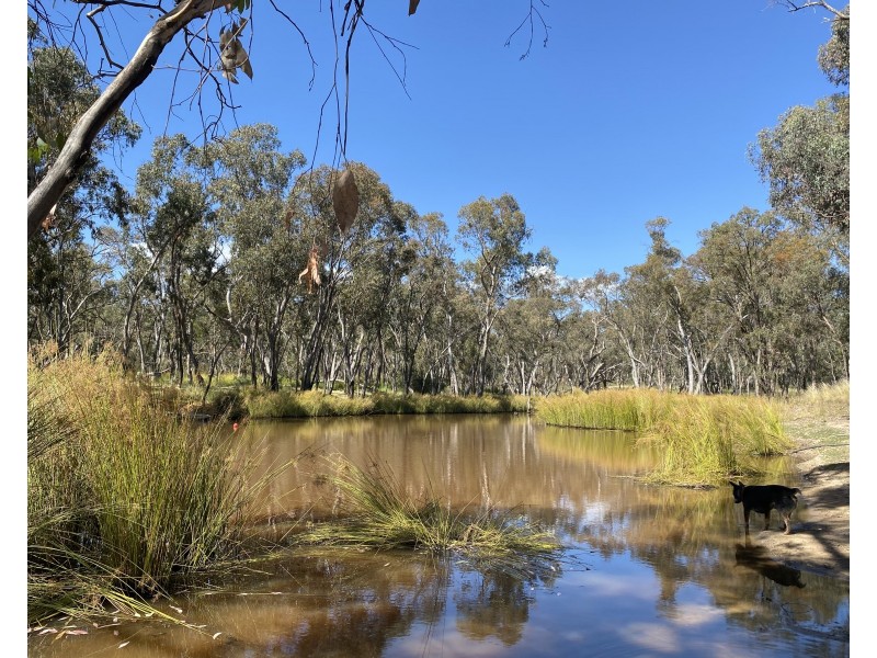 695 Coybil Road, Weetaliba NSW 2395