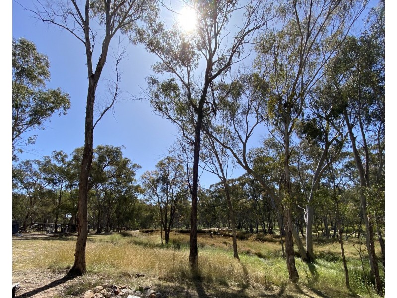 695 Coybil Road, Weetaliba NSW 2395