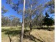 695 Coybil Road, Weetaliba NSW 2395