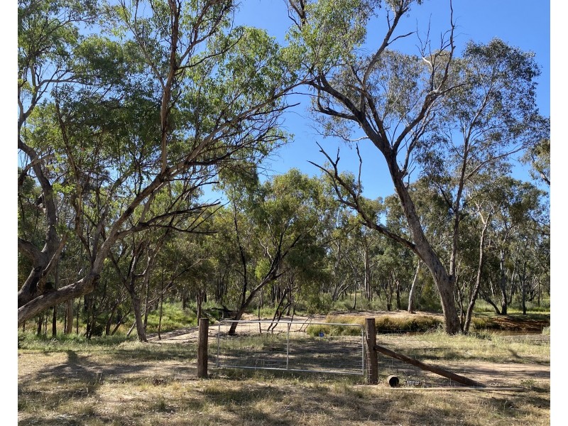 695 Coybil Road, Weetaliba NSW 2395