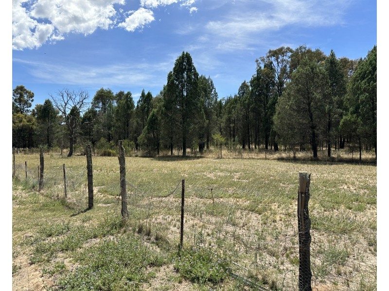 921 Mollyan Road, Binnaway NSW 2395