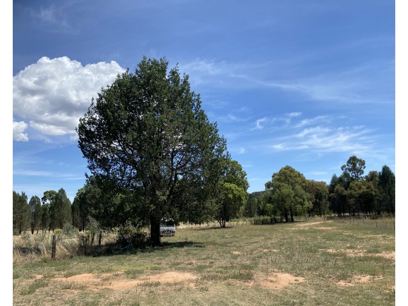 921 Mollyan Road, Binnaway NSW 2395