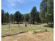 921 Mollyan Road, Binnaway NSW 2395
