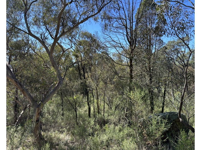 921 Mollyan Road, Binnaway NSW 2395