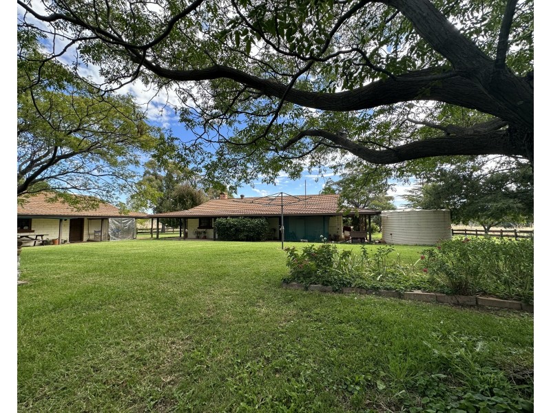 758 Coolah Creek Road, Coolah NSW 2843