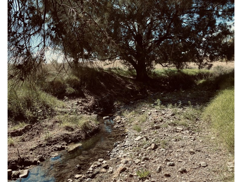 758 Coolah Creek Road, Coolah NSW 2843