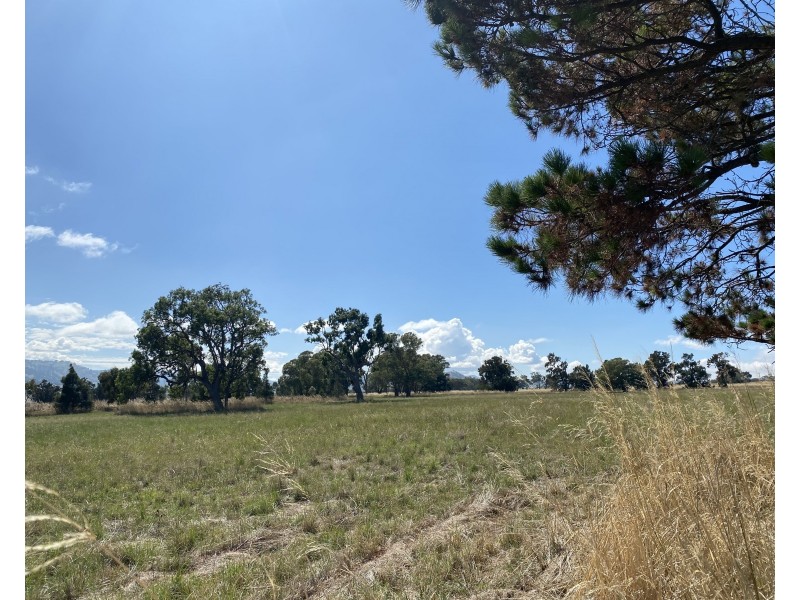 758 Coolah Creek Road, Coolah NSW 2843