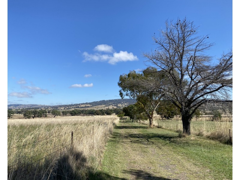 758 Coolah Creek Road, Coolah NSW 2843