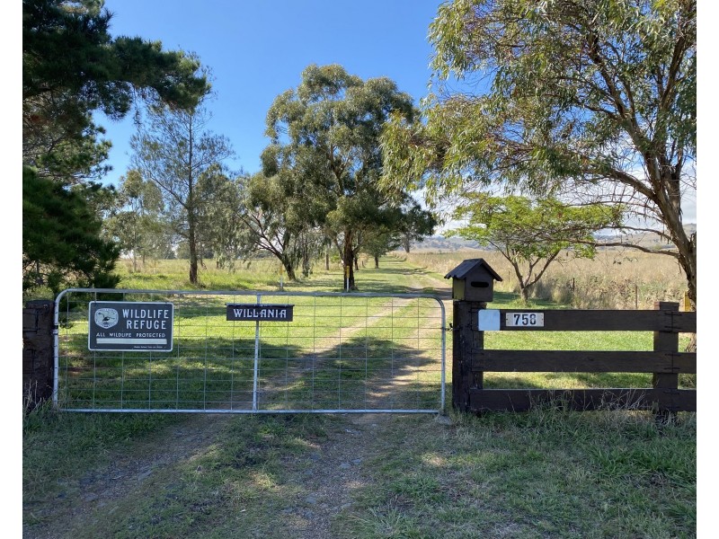 758 Coolah Creek Road, Coolah NSW 2843