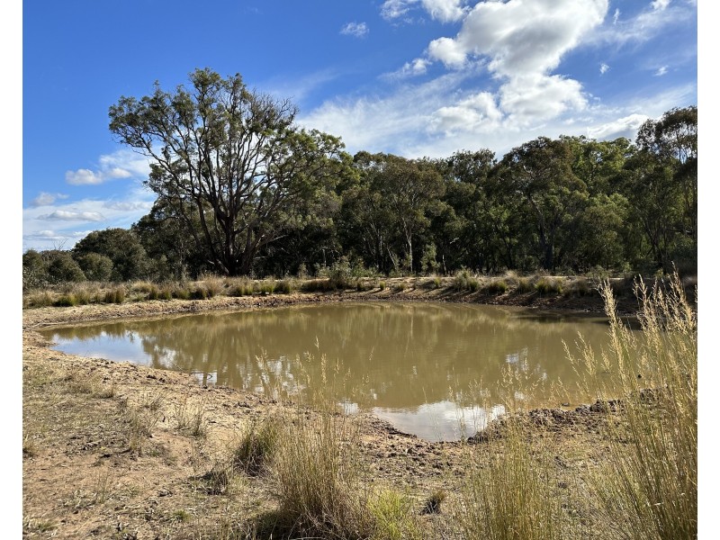 1830 Mount Hope Road, Coolah NSW 2843