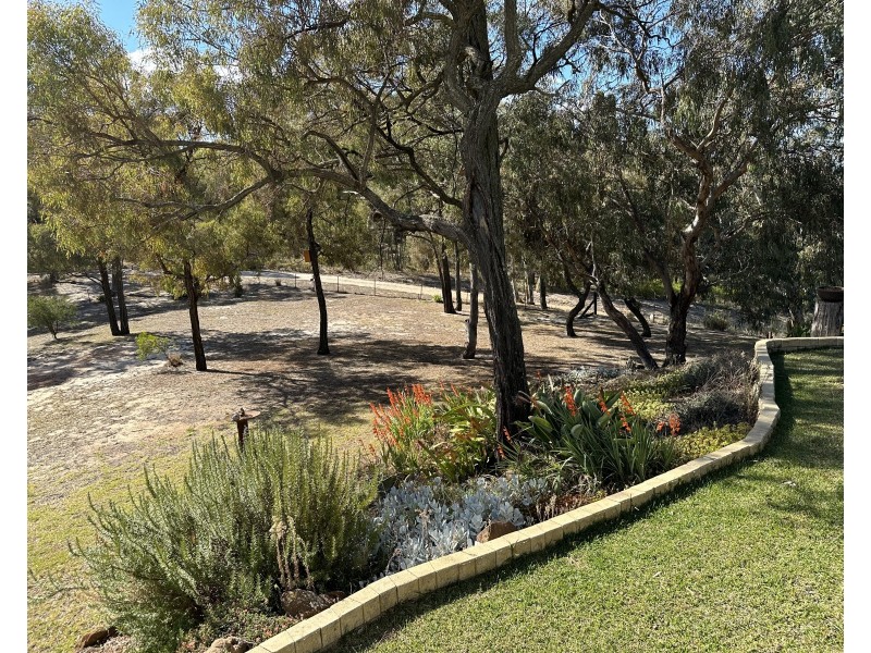 1830 Mount Hope Road, Coolah NSW 2843