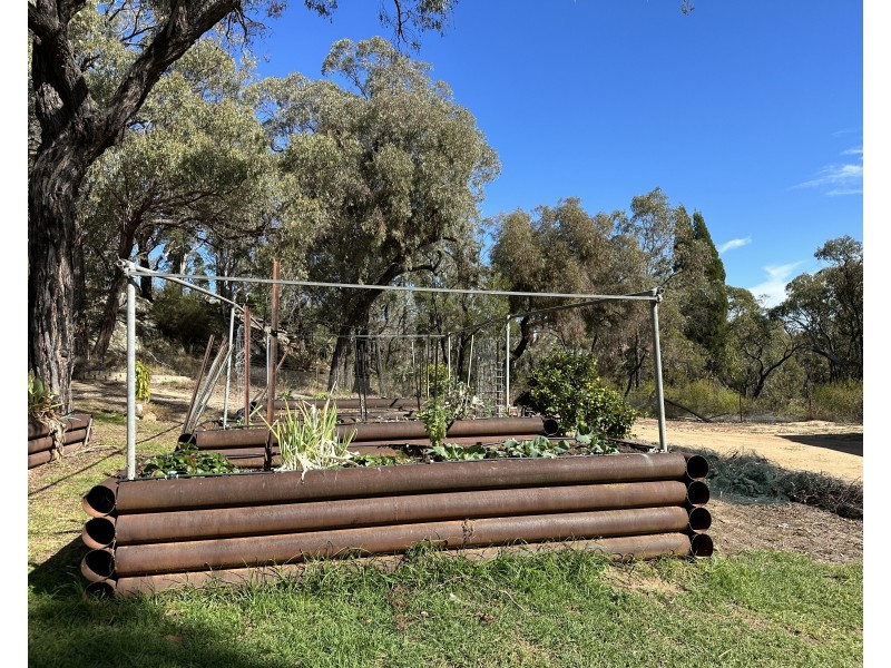 1830 Mount Hope Road, Coolah NSW 2843