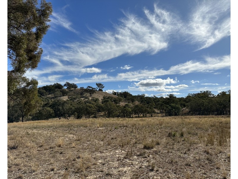 1830 Mount Hope Road, Coolah NSW 2843